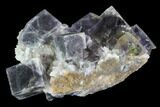 Green Fluorite Crystals with Purple Phantoms - Mongolia #100734-1